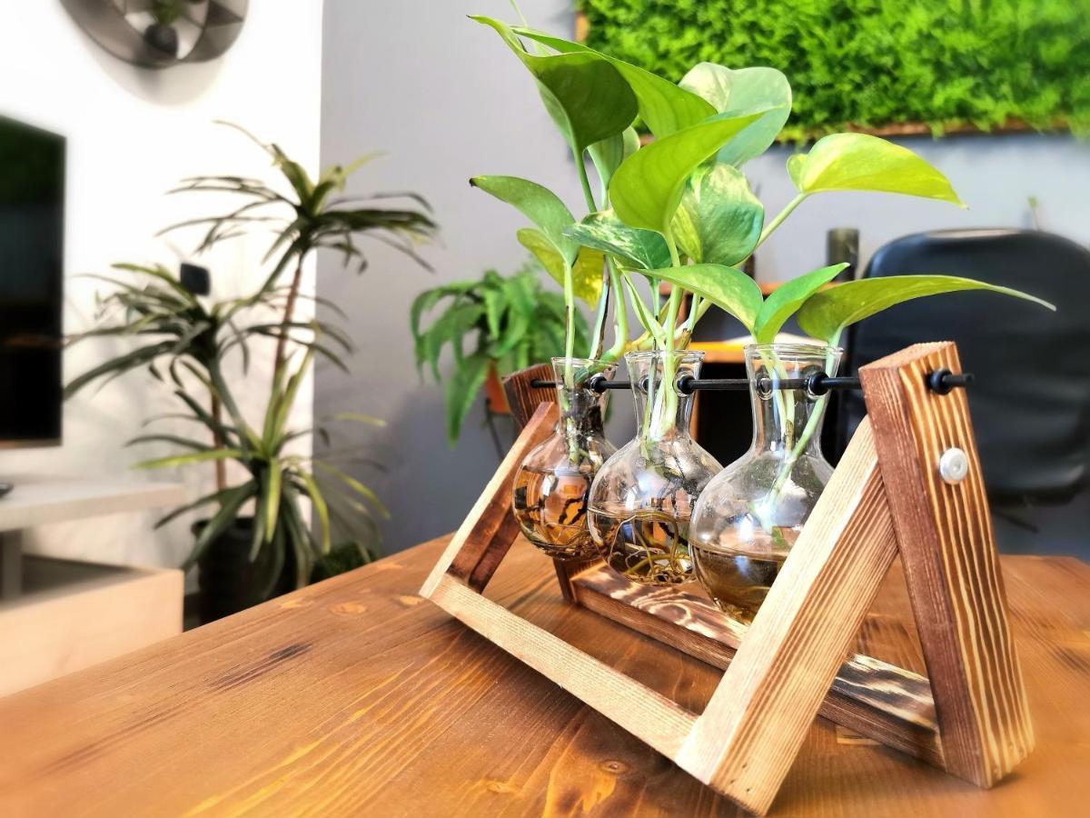 Evergreen House アグリジェント エクステリア 写真